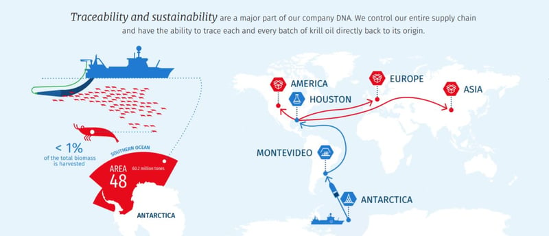 value chain